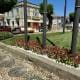 Substituição E Colocação De Novas Flores Na Vila (17)