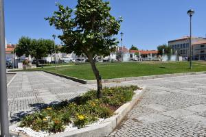 Substituição E Colocação De Novas Flores Na Vila (2)