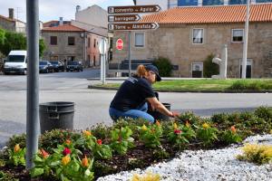 Substituição E Colocação De Novas Flores Na Vila (4)