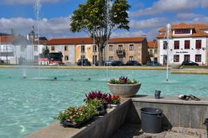 Substituição E Colocação De Novas Flores Na Vila (5)