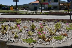 Substituição E Colocação De Novas Flores Na Vila (6)