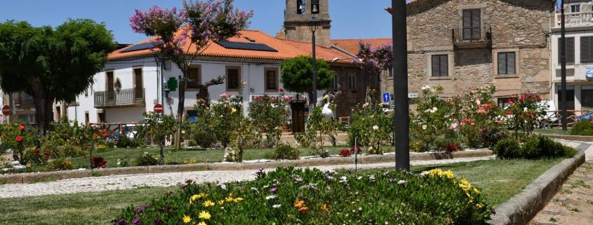 Substituição E Colocação De Novas Flores Na Vila (8)