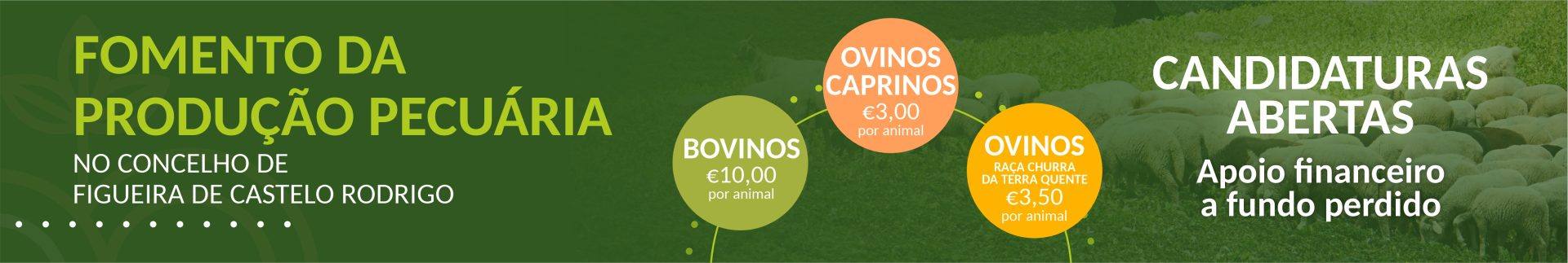 Banner Pecuaria Site Banner Pecuaria Site