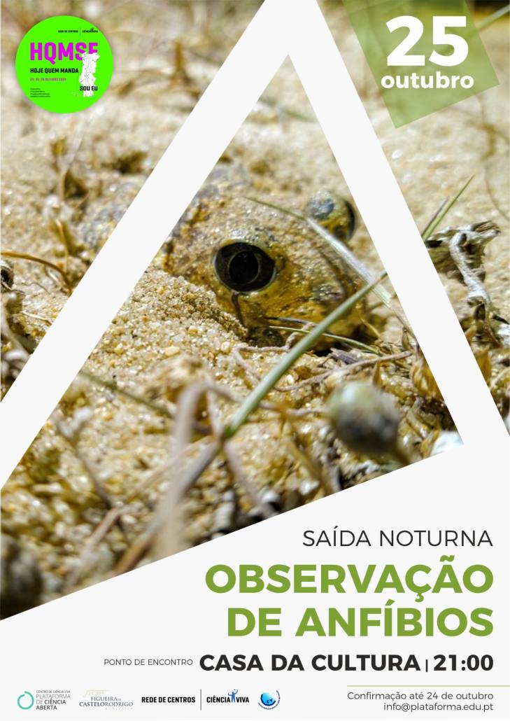 Cartaz Anfibios