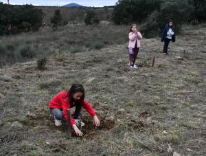 Dia Da Floresta Autóctone (11)