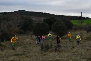 Dia Da Floresta Autóctone (2)