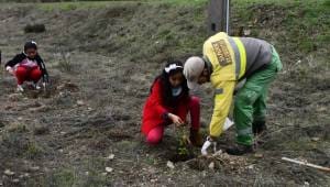 Dia Da Floresta Autóctone (6)