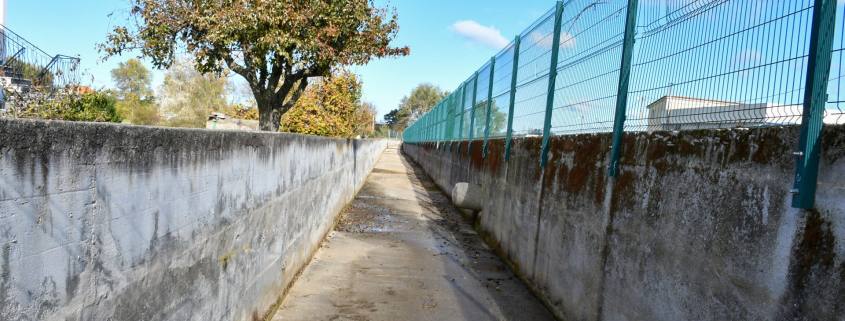 Limpeza Ribeiro Do Rodelo (6)