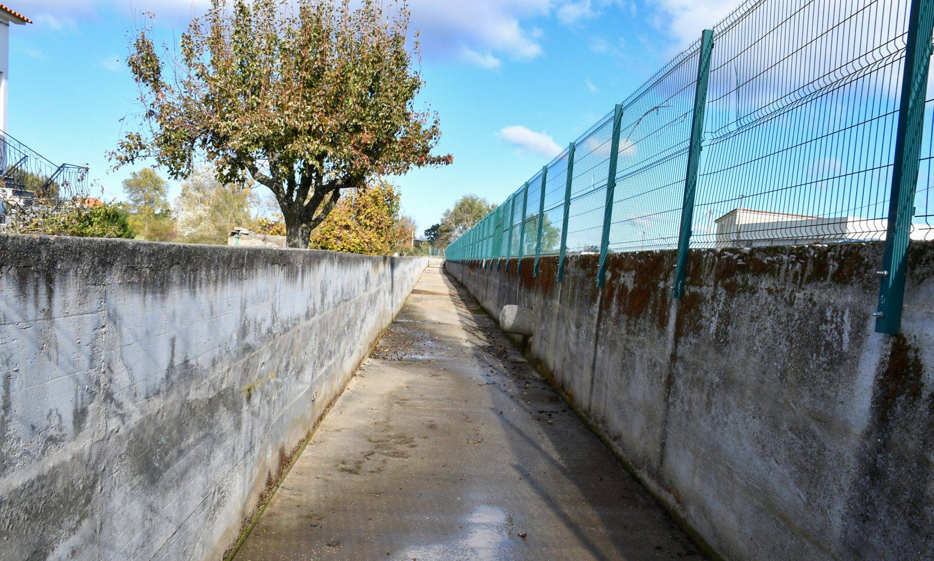 Limpeza Ribeiro Do Rodelo (6)