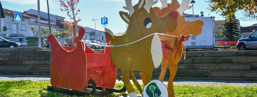 Enfeites De Natal – Natal Ecológico (13)