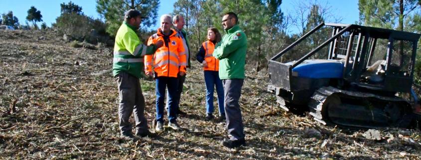 Gestão De Combustível (4)