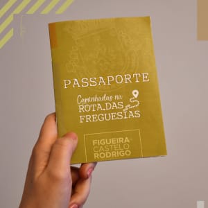 483463786 638782498793816 6105640255385921974 N