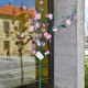 Amendoeiras Em Flor (13)