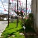 Amendoeiras Em Flor (3)