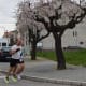 Atletismo Urbano (1)