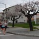 Atletismo Urbano (27)