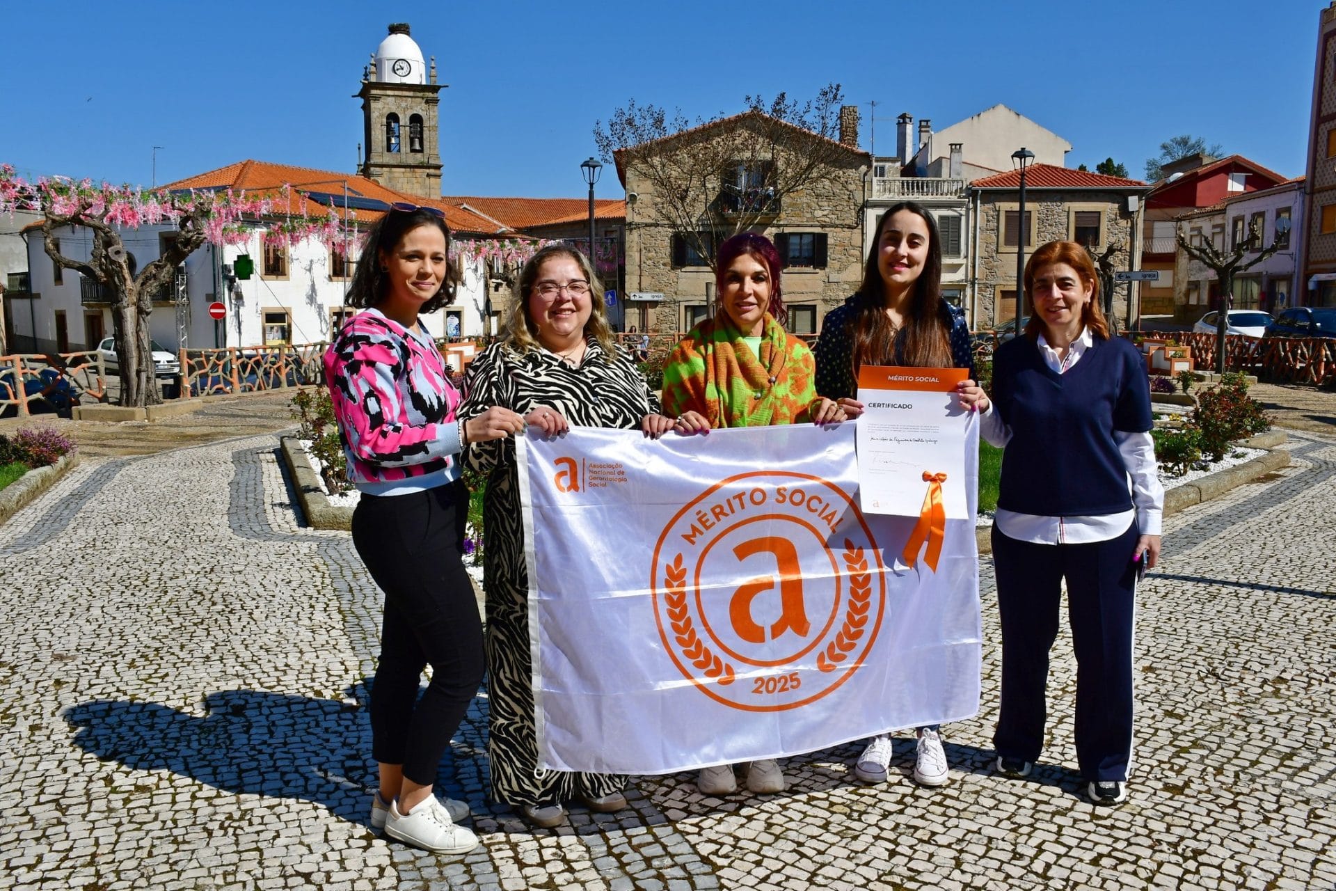 Bandeira Mérito Social 2