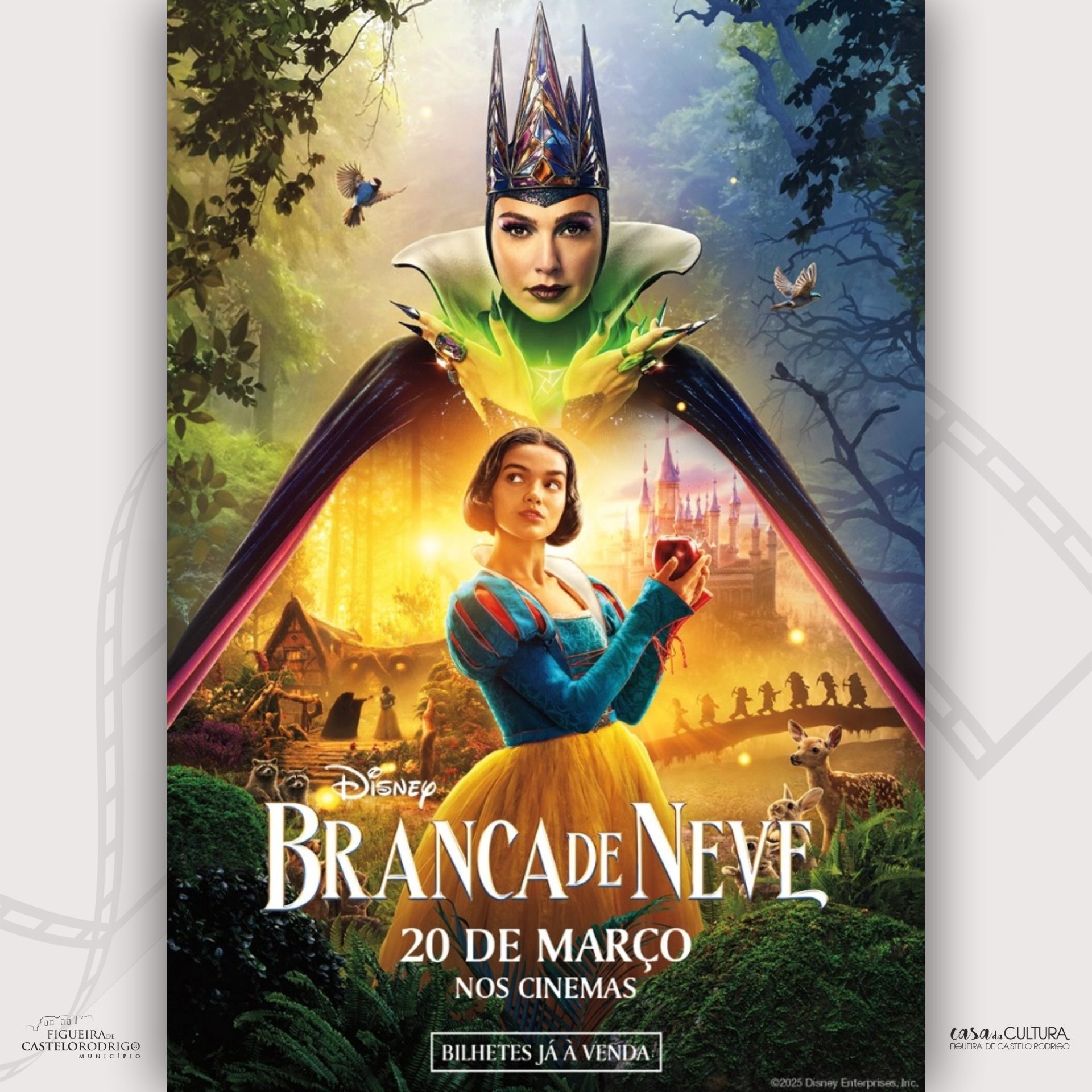 Branca