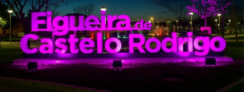 Dia Nacional Do Doente Com Avc