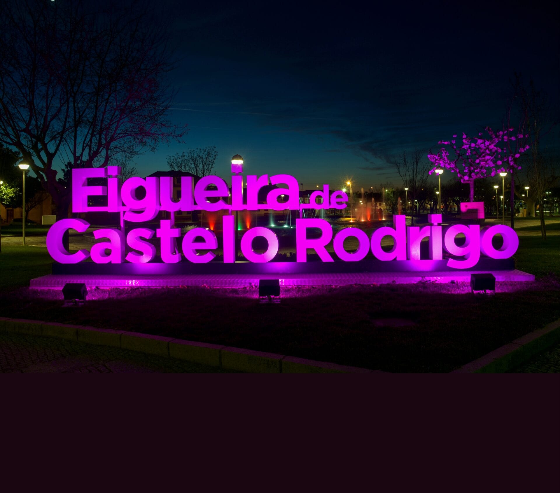 Dia Nacional Do Doente Com Avc