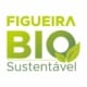 Figueira Bio Sustentável 1