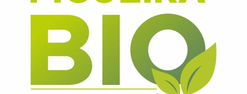 Figueira Bio Sustentável 1