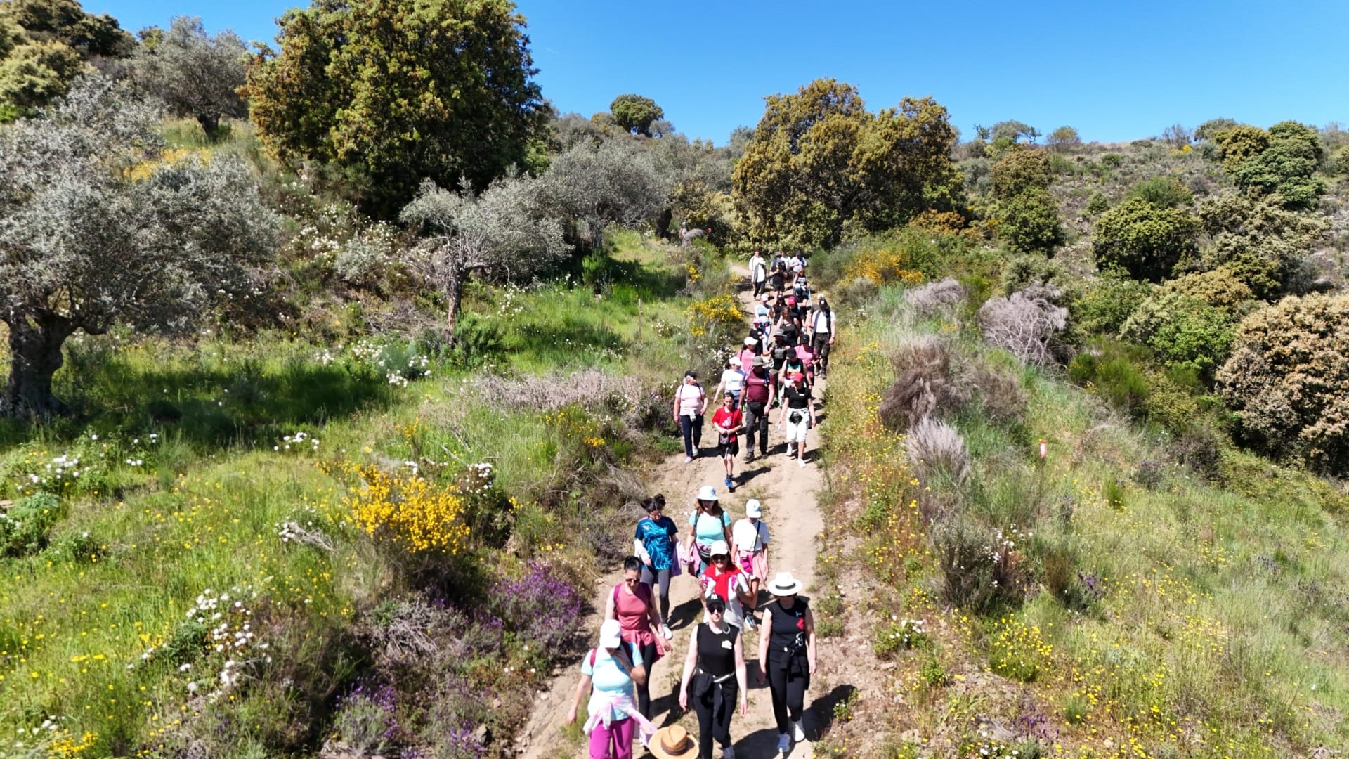 Imagem Whatsapp 2025 04 26 às 12.21.05 9978e9d5