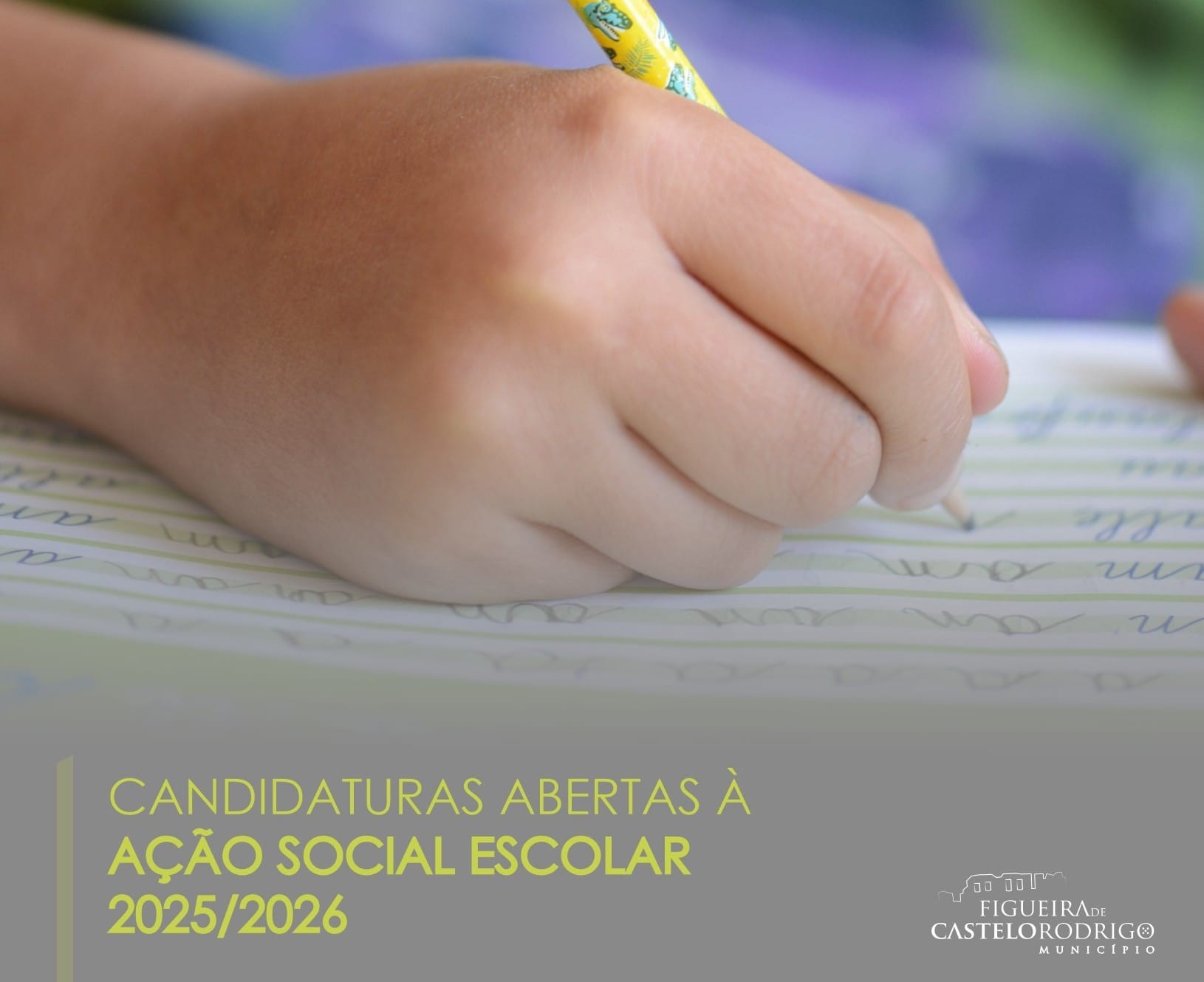 AÇÃo Social Escolar Site