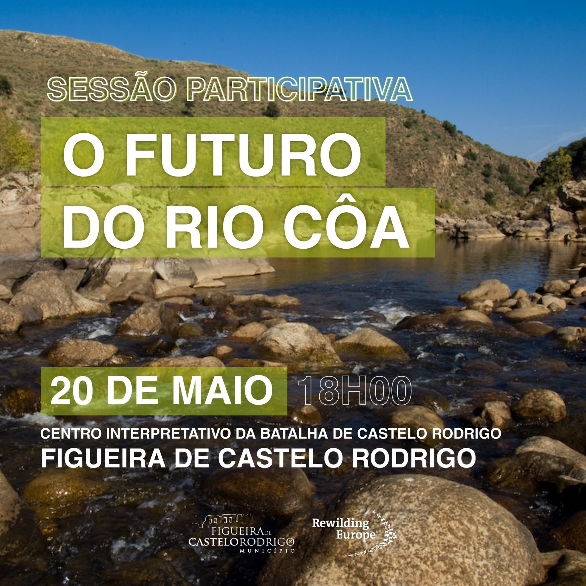 499551149 689677950370937 7030888516295847553 N