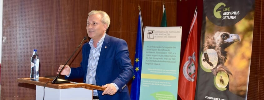 504421438 702537719084960 6663194085154950110 N