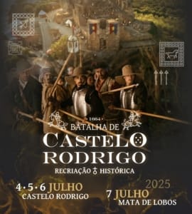 504423689 704703925535006 2934562195830094935 N