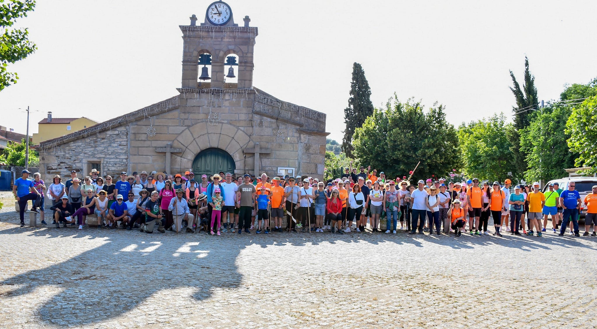 504428228 703881698950562 8651229001698748655 N