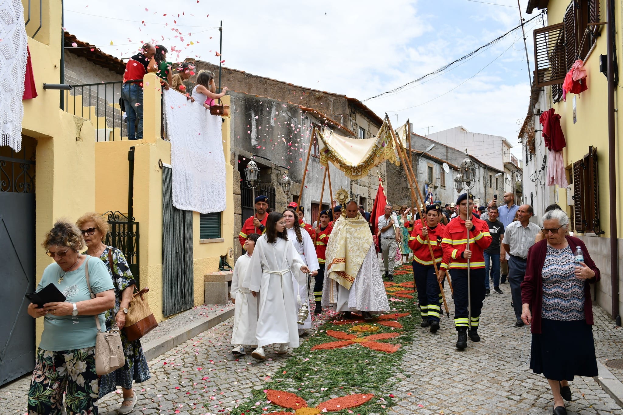 505445808 712483261423739 6408878281074424350 N