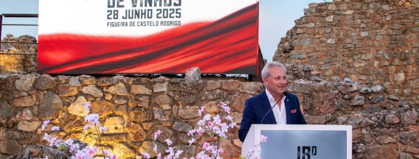 511277466 719731527365579 1297564911994148425 N