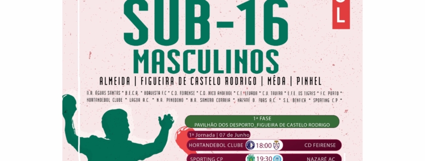 Andebol Ins