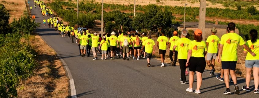 504382939 730687592936639 7652681752219644238 N