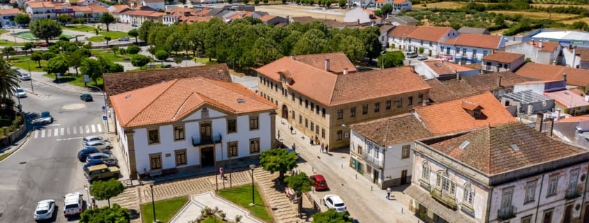 560587311 805688408769890 3305643419878289296 N