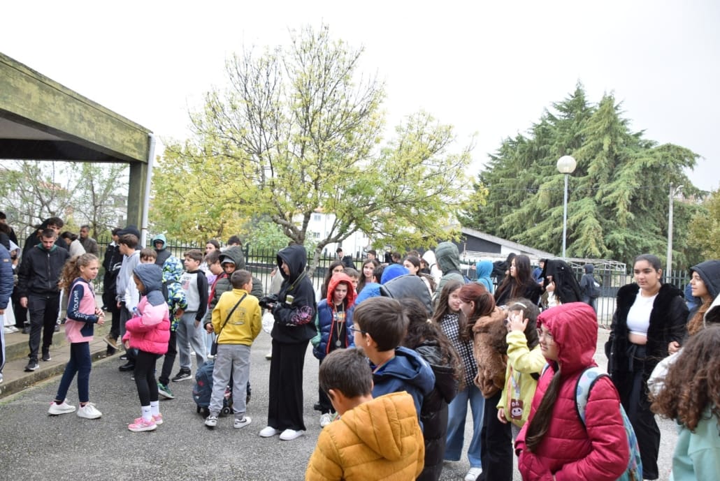 576889978 824194223585975 2405592265639312294 N