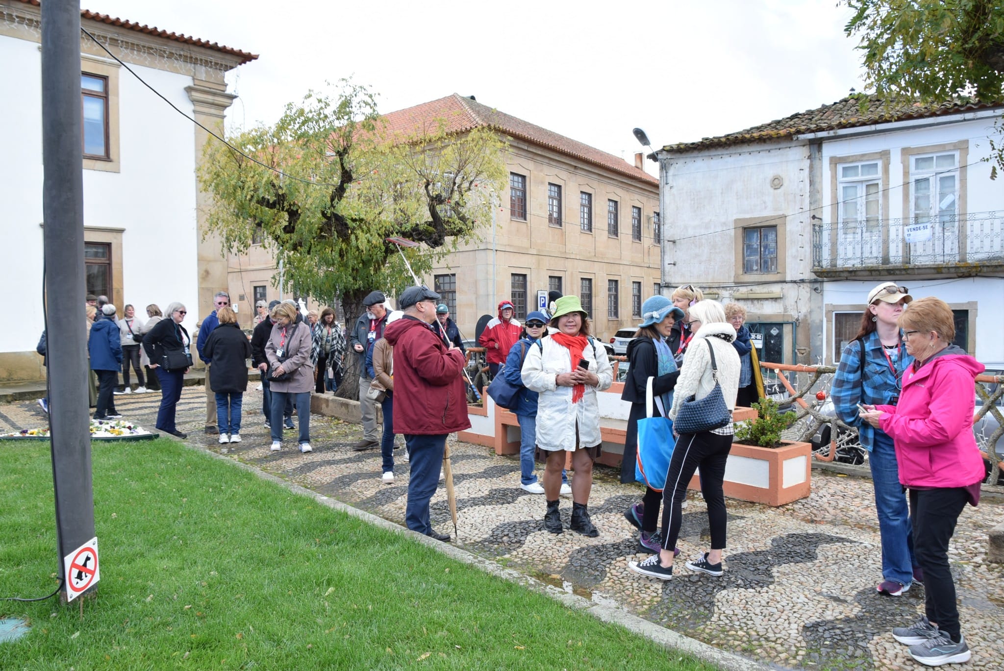 578807058 824264210245643 975256384585476045 N