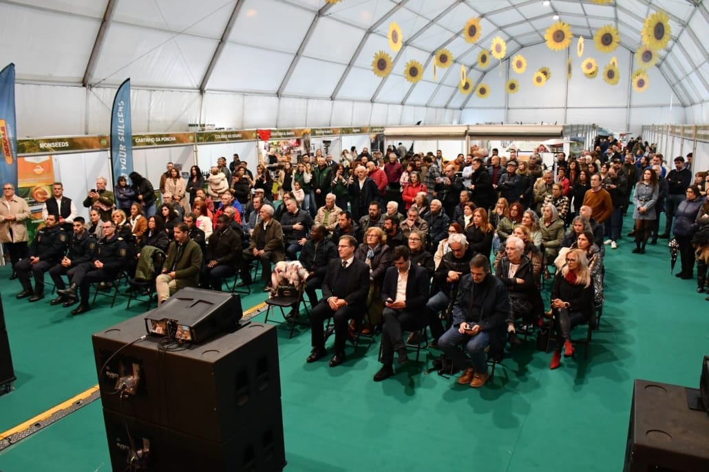 581415402 831069256231805 8583567943388403508 N