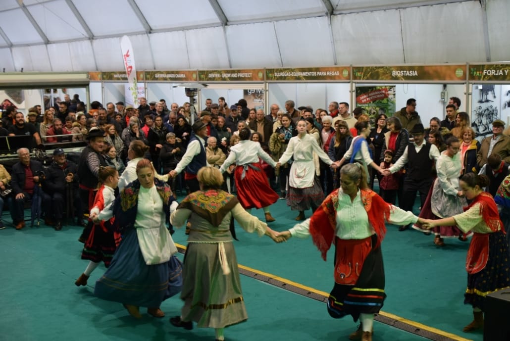 583611970 832610559411008 112674815943014139 N