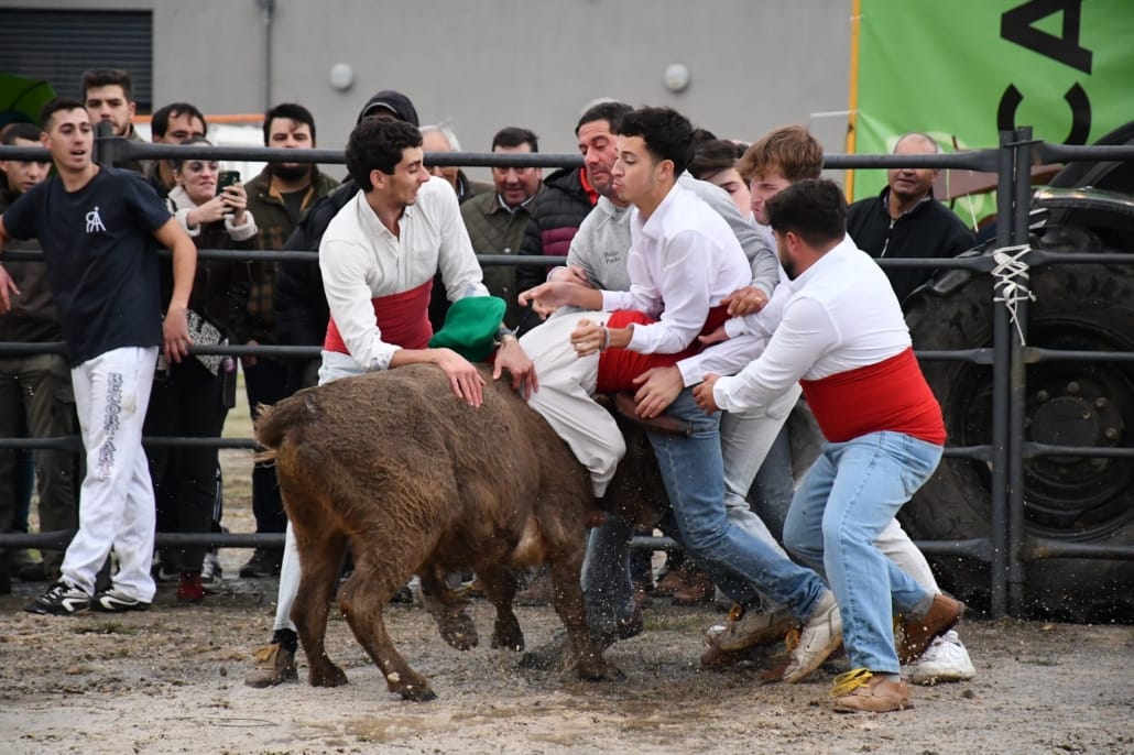 583626667 832610406077690 8744088245734711832 N