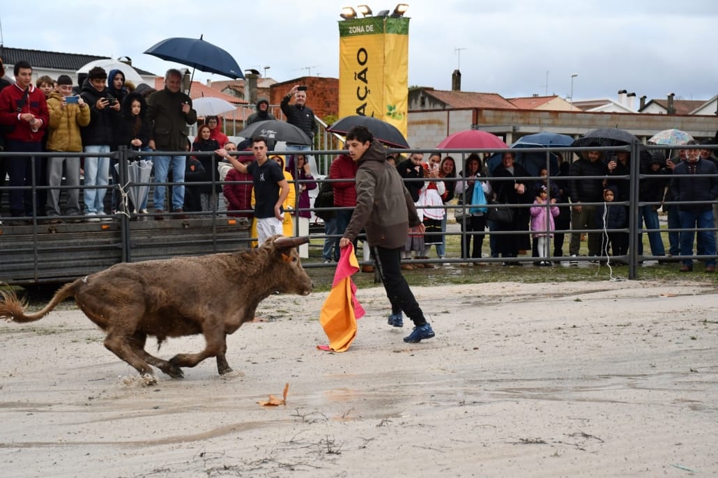 583697169 832610292744368 2281322800001842254 N