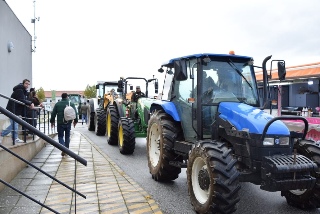 584066667 832610279411036 7019755450401490028 N