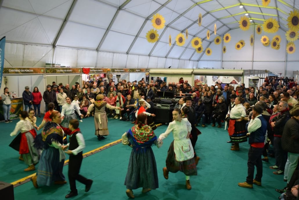 584600580 832613646077366 5666598918052805985 N