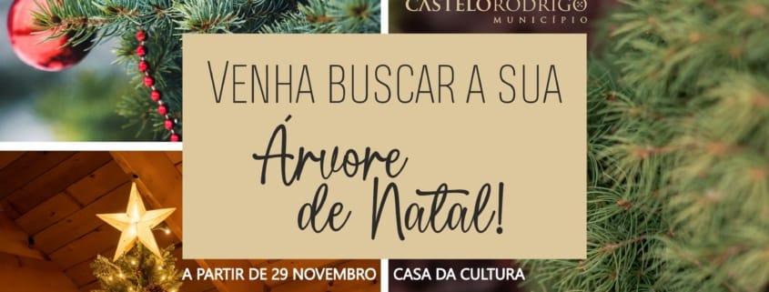 590625884 841328481872549 2038616127690324432 N