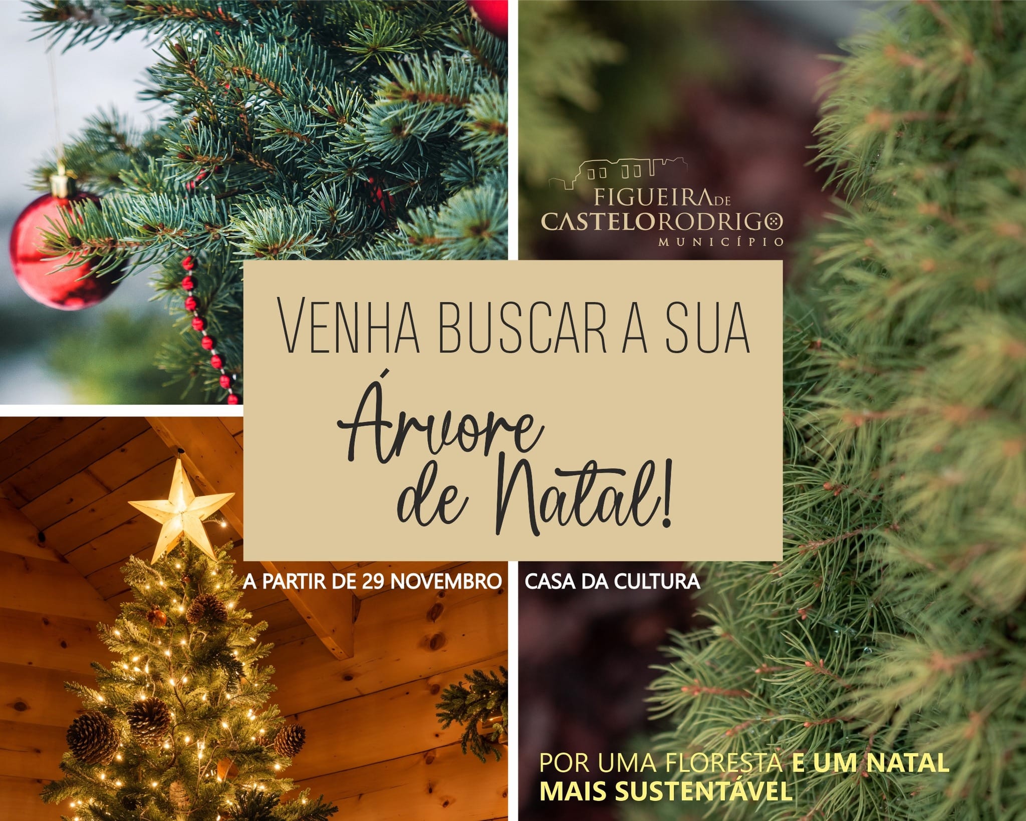 590625884 841328481872549 2038616127690324432 N