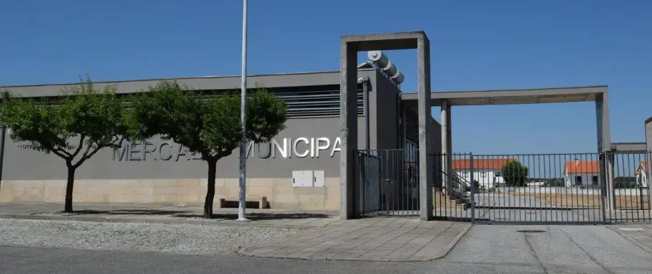 Mercado Municipal Fcr (1)