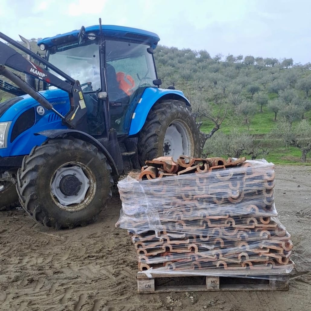 628025043 893401516665245 6155235170739305842 N