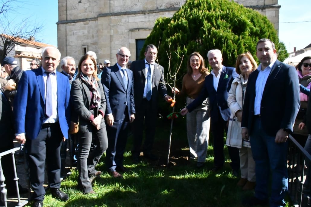 645780689 912645078074222 8211956892148796092 N